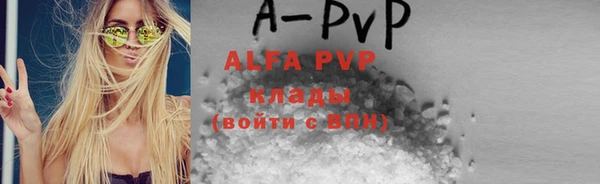гидра Абаза